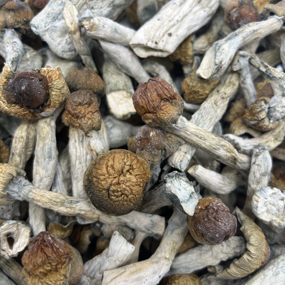 Mushrooms Bulk Raw