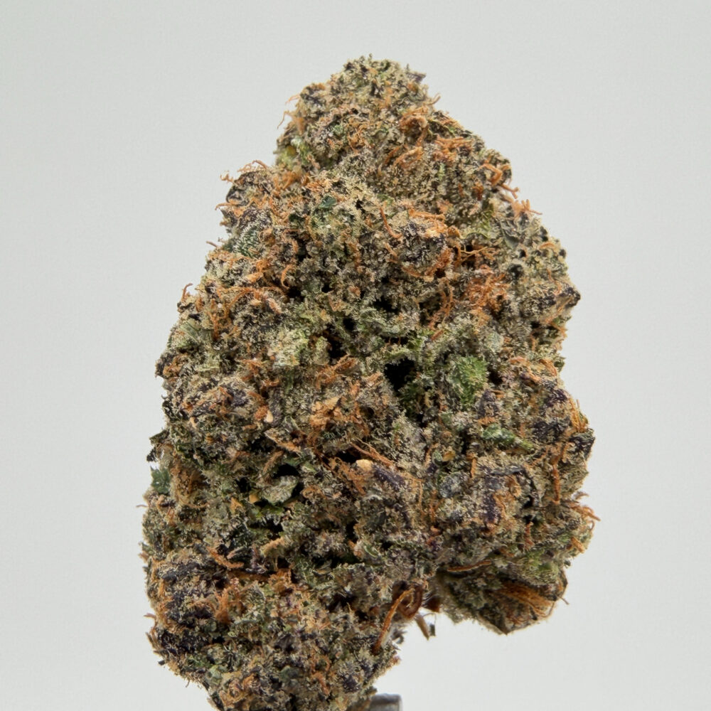 White Cherry Gelato