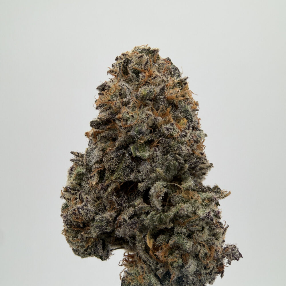 Cherry Truffle