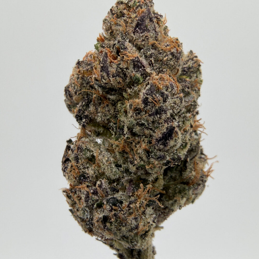 Lemon Cherry Koolato