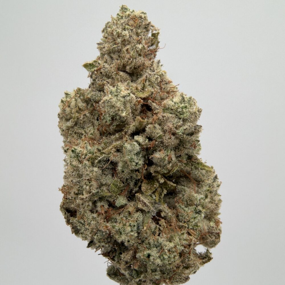 Super Lemon Cherry