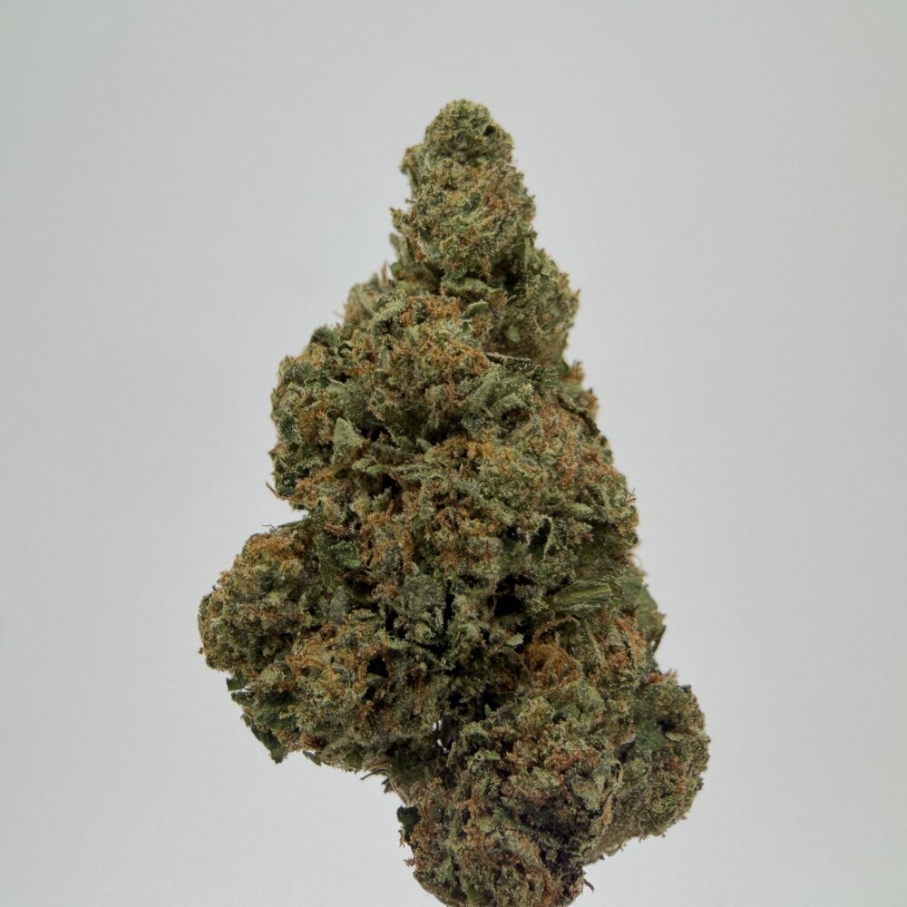 Gelato