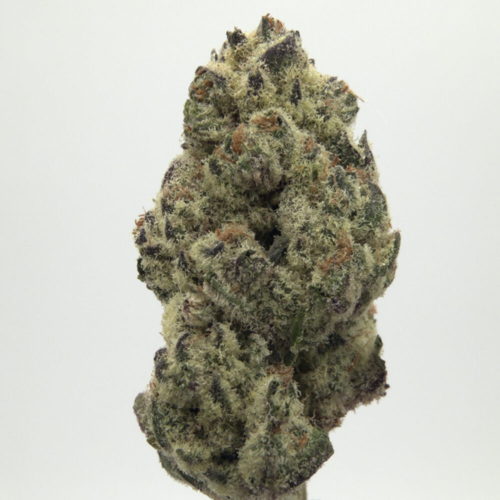 Oreoz